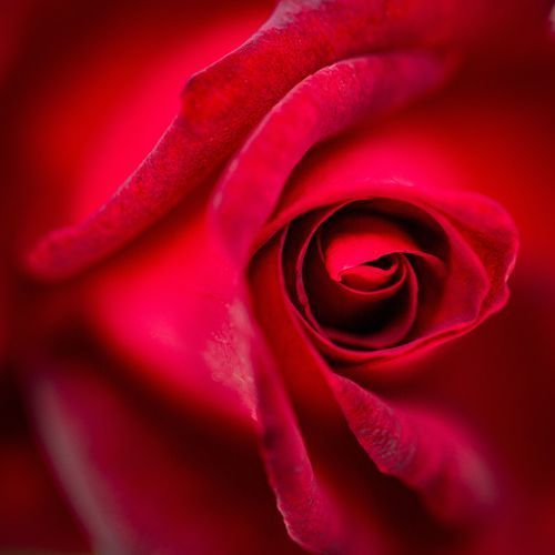 Mdawmdawmdawmdaw7qgraepd6cacehr zcfbfywxu2fyveayeunrgwctqqqltnerwweter6yomfiojy24adow ljj7f22f2vd2s3k0fn 38ezqodftc2xeuhdjufahdziomokxodj3hs jg da6ji5eudq olwagpj5emn5kehkab57ifvchygqqu5dnbxf9db18sdpuxfauteoex4nnw kydbjz7qsosaaklyfwi m2bl ghfqh6uvubbpjqzilucflwulyo8akewlyndpbcjgmhw f438bmtxrgekhz6jlpzicyortz3 83jj9mcopqmw