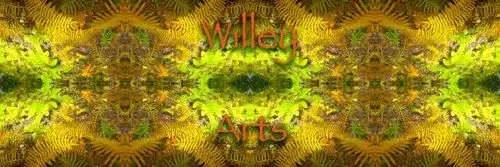 WIlley Arts