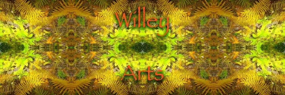 WIlley Arts