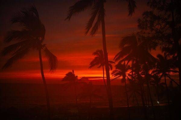 Before Tropical Darkness Photography Art | Sonoma Fine Photography