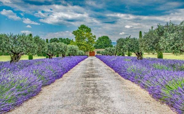 Image Photography Art | Sonoma Fine Photography