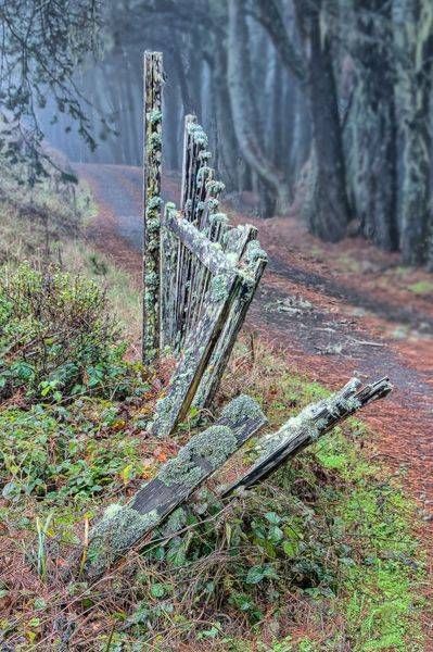 Weathered Fence Photography Art | Sonoma Fine Photography