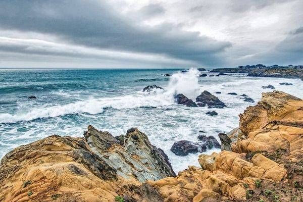 Stump Beach Ii Photography Art | Sonoma Fine Photography