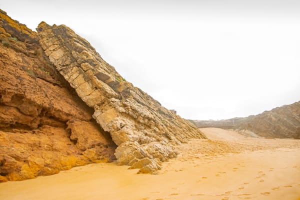 Beach Slab Photography Art | Sonoma Fine Photography