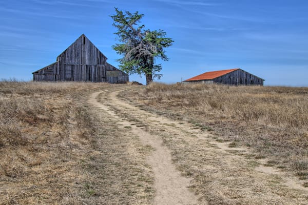 Barn Road Photography Art | Sonoma Fine Photography