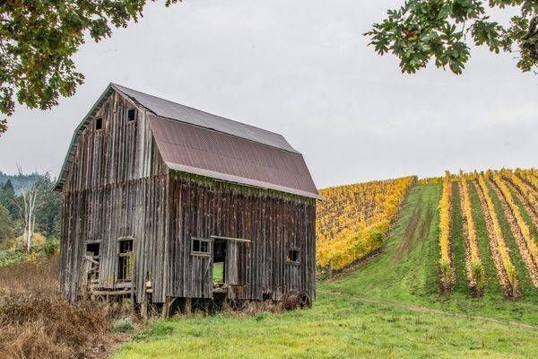 Willamette Valley Barn Photography Art | Sonoma Fine Photography