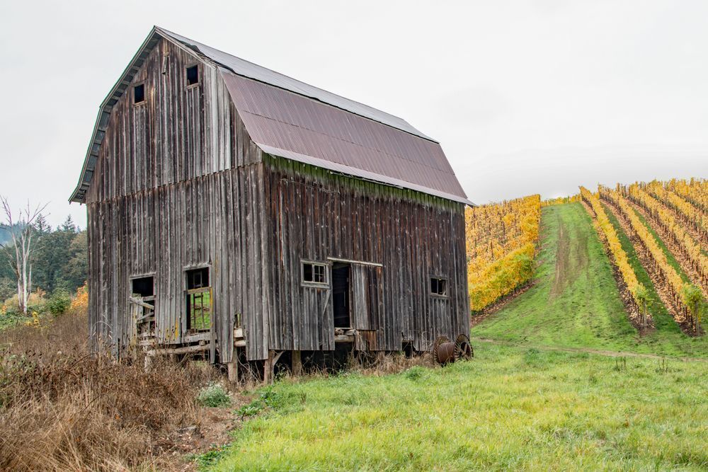 Vineyard Barn Photography Art | Sonoma Fine Photography