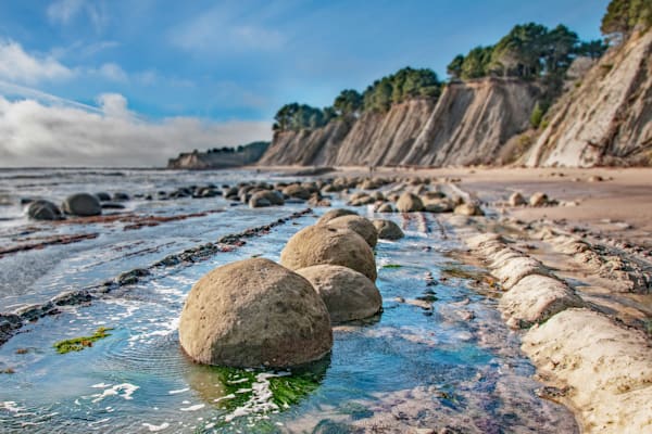 Shoreline Sentinels Photography Art | Sonoma Fine Photography