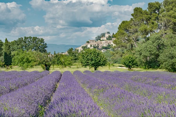 Bonnieux Lavender Photography Art | Sonoma Fine Photography