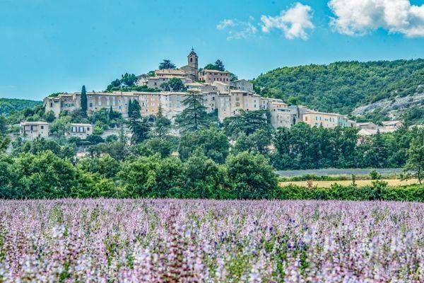 Lavender Dreams Photography Art | Sonoma Fine Photography