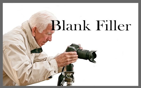 Blank Filler #2 Photography Art | Sonoma Fine Photography