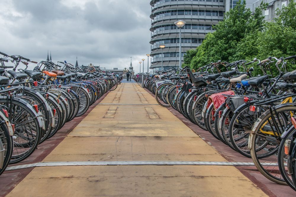 Bicycles Of Amsterdam Photography Art | Sonoma Fine Photography
