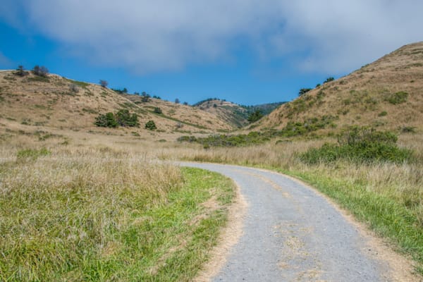 Along The Quiet Path Photography Art | Sonoma Fine Photography