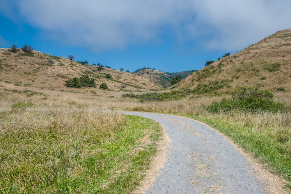 Along The Quiet Path Photography Art | Sonoma Fine Photography