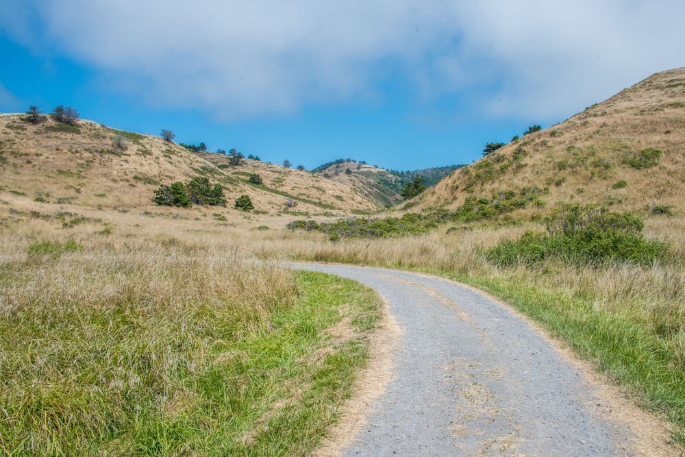 Curved Road Photography Art | Sonoma Fine Photography
