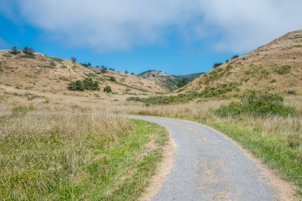 Curved Road Photography Art | Sonoma Fine Photography
