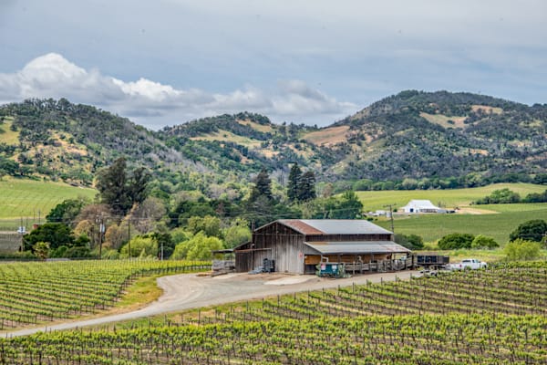 Carneros Barn Photography Art | Sonoma Fine Photography