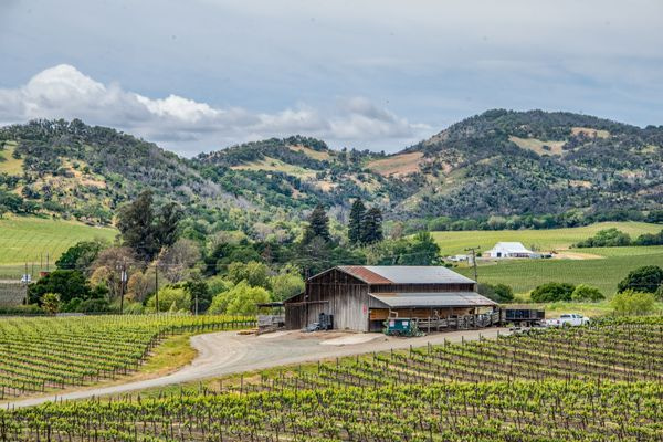 Wine Country