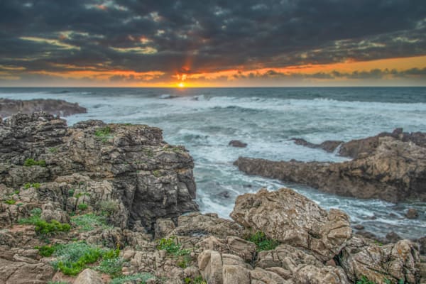 Golden Dusk Photography Art | Sonoma Fine Photography
