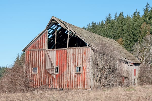 Campbell Lake Road Barn Photography Art | Sonoma Fine Photography