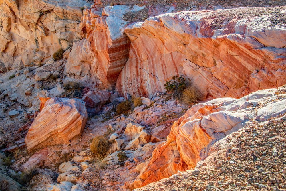 Canyon On Fire Photography Art | Sonoma Fine Photography