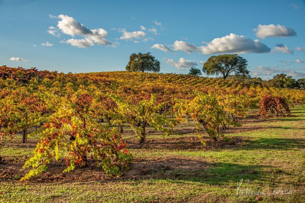 Cohn 1b Photography Art | Sonoma Fine Photography