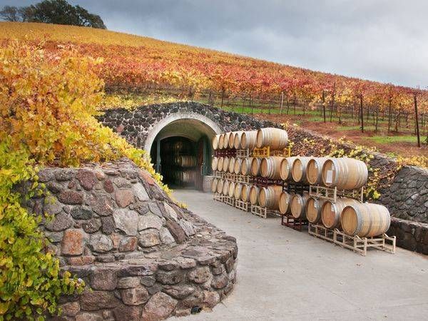 Autumn Wine Cave 30 X40 Photography Art | Sonoma Fine Photography