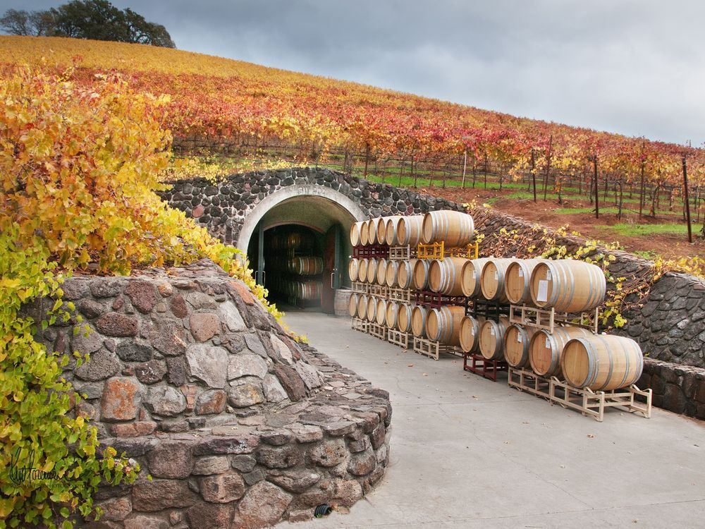 Autumn Wine Cave 30 X40 Photography Art | Sonoma Fine Photography