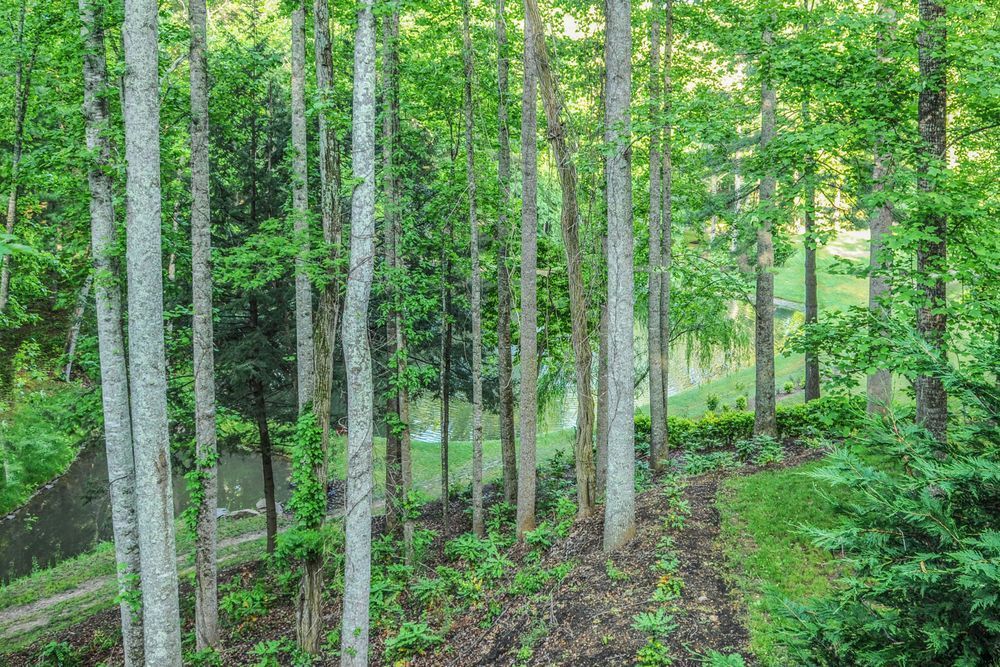 Asheville Wilderness Photography Art | Sonoma Fine Photography