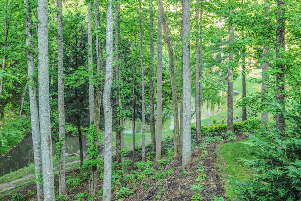 Asheville Wilderness Photography Art | Sonoma Fine Photography