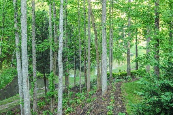 Wilderness At Asheville Photography Art | Sonoma Fine Photography