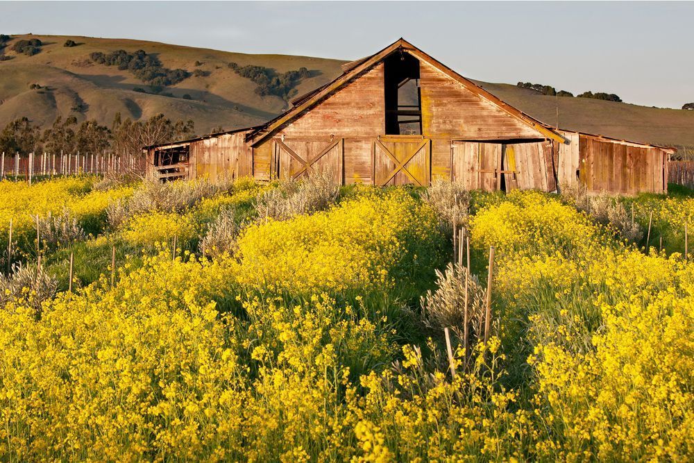 Arnold Barn Photography Art | Sonoma Fine Photography