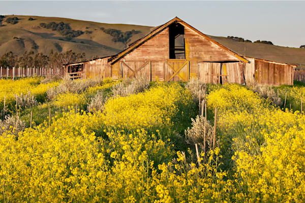 Arnold Barn Photography Art | Sonoma Fine Photography