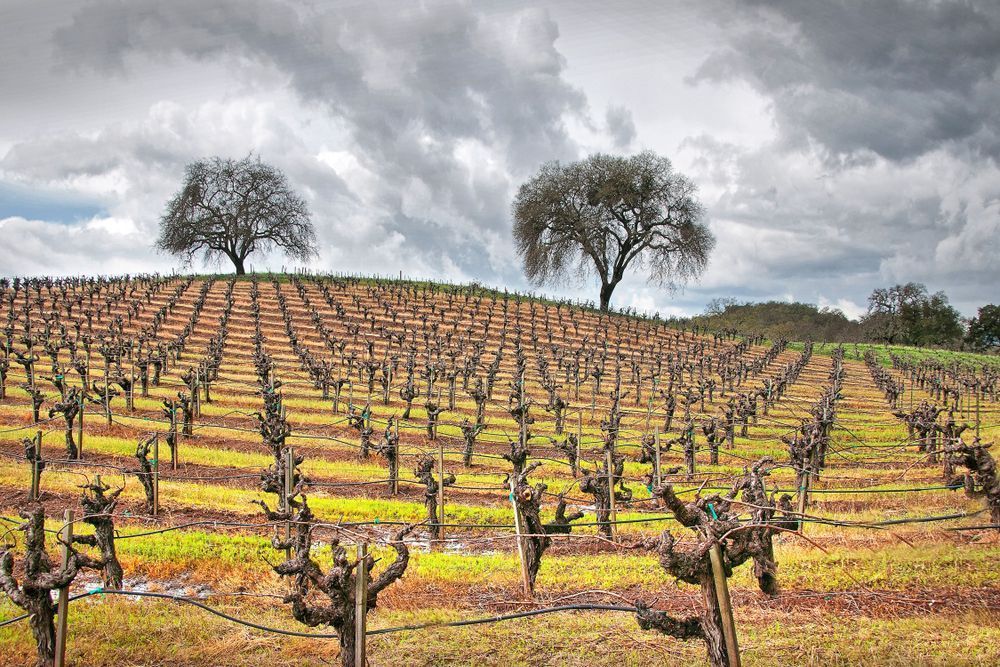 After The Storm Photography Art | Sonoma Fine Photography