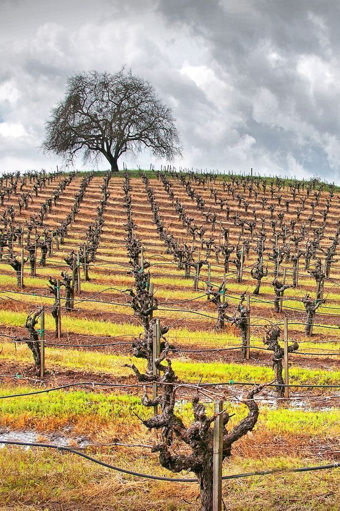 After The Storm Ii Photography Art | Sonoma Fine Photography