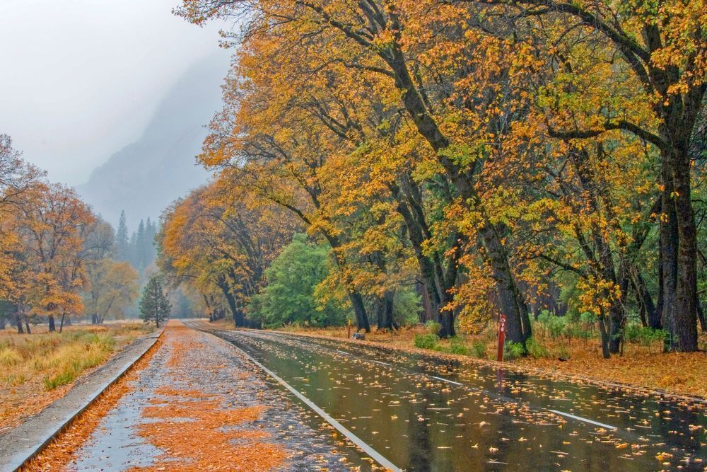 After The Rain Photography Art | Sonoma Fine Photography