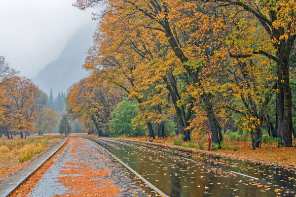 After The Rain Photography Art | Sonoma Fine Photography