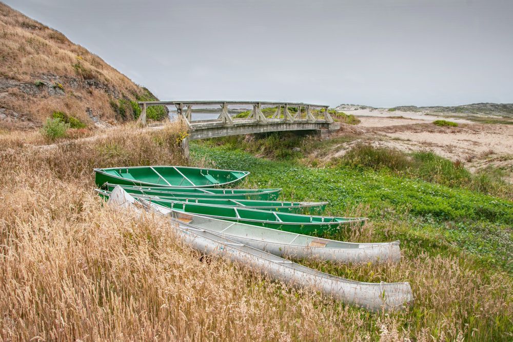 Abbott's Lagoon Photography Art | Sonoma Fine Photography