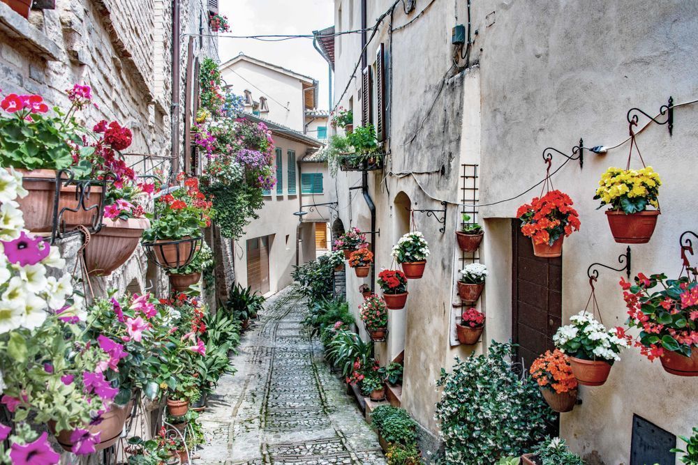 Alleyway In Spello Photography Art | Sonoma Fine Photography