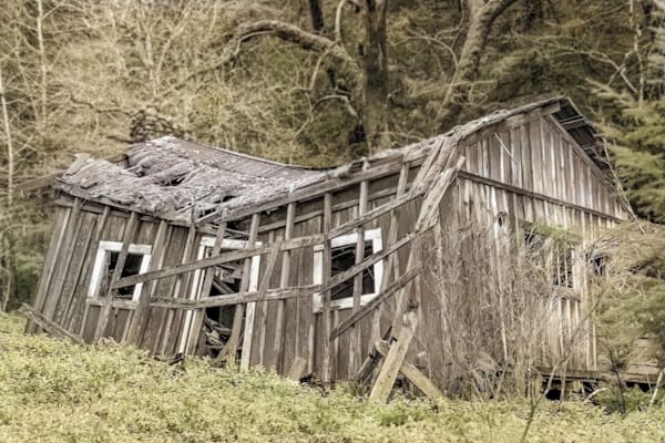 Fallen Cabin Colorized Photography Art | Sonoma Fine Photography