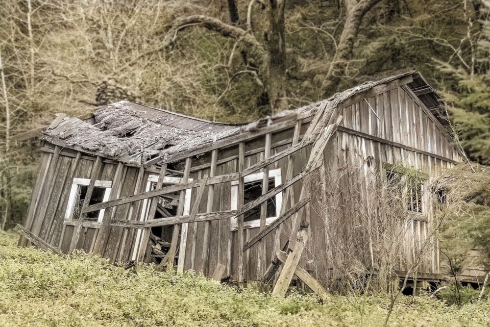 Fallen Cabin Colorized Photography Art | Sonoma Fine Photography