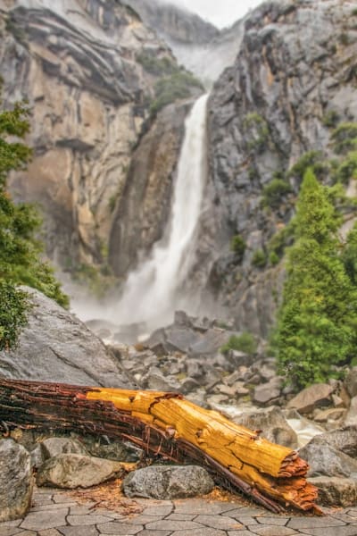 Beneath The Roar Photography Art | Sonoma Fine Photography