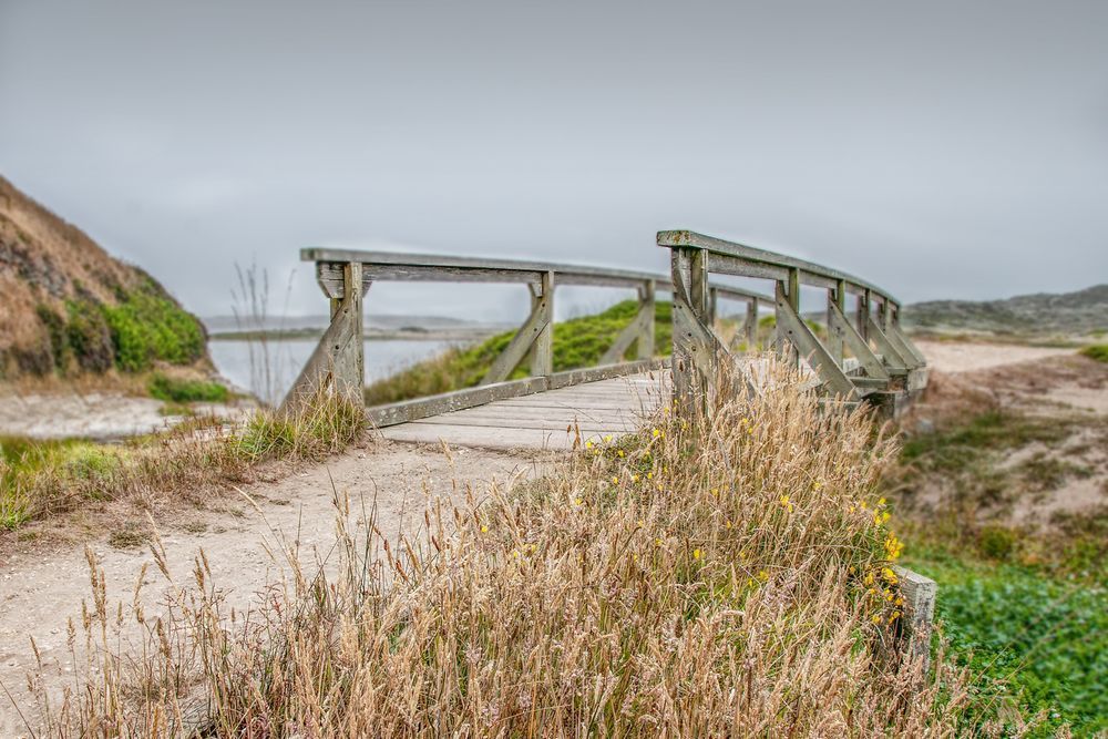 Footbridge At Abbot's Lagoon Photography Art | Sonoma Fine Photography