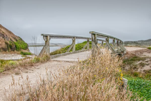 Footbridge At Abbot's Lagoon Photography Art | Sonoma Fine Photography