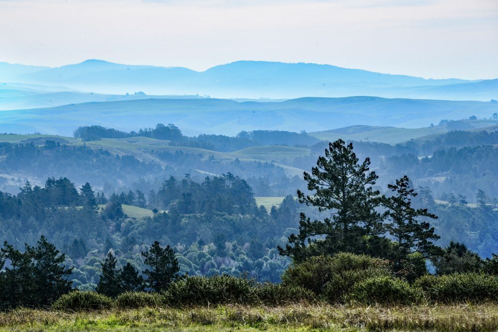 Fog In The Valley Photography Art | Sonoma Fine Photography