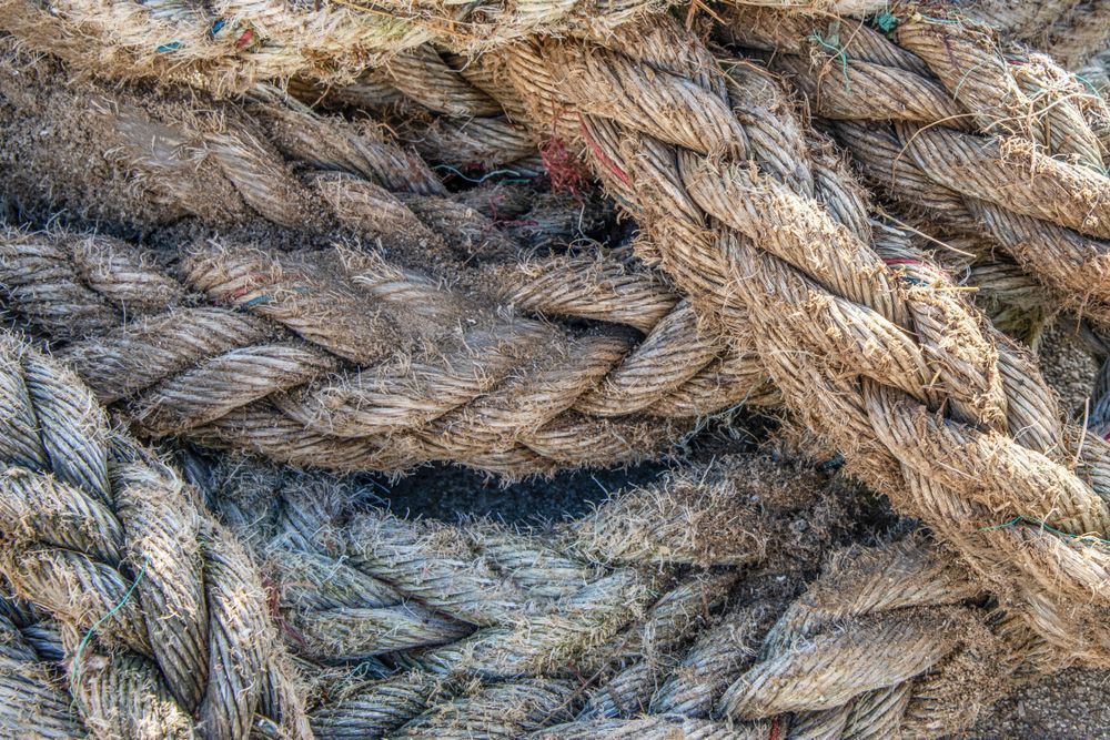 Fisherman's Rope Photography Art | Sonoma Fine Photography