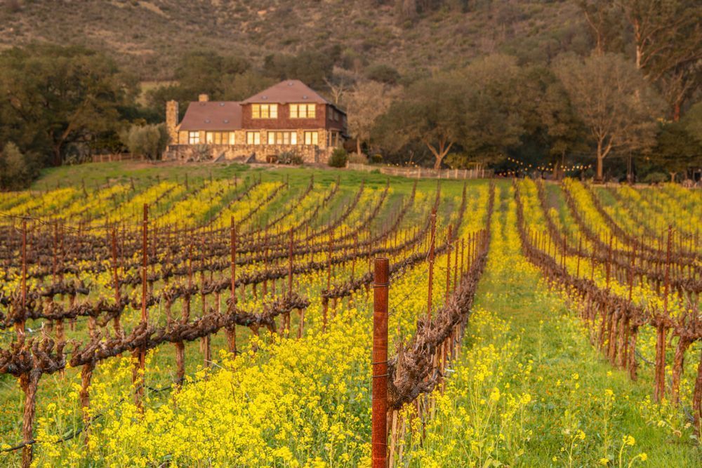 Mary's House Photography Art | Sonoma Fine Photography