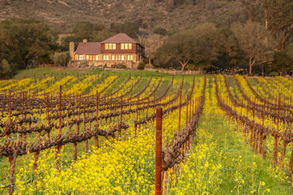 Mary's House Photography Art | Sonoma Fine Photography