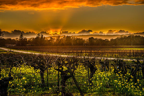 Gun Bun Sunset Photography Art | Sonoma Fine Photography