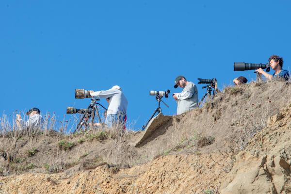 Getting The Shot Asf Photography Art | Sonoma Fine Photography